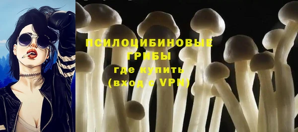 дмт Алексеевка
