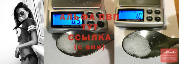 apvp Алзамай
