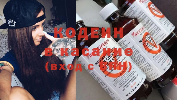 apvp Алзамай