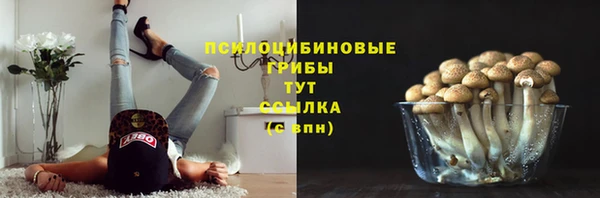 дмт Алексеевка